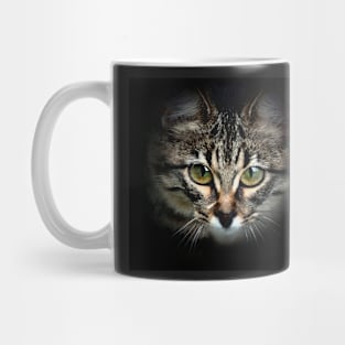 CAT WITH BIG EYES Mug